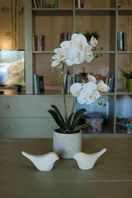 Apartment With Garden In Thessaloniki. Kültér fotó
